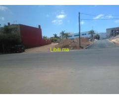 Terrain angle pour r+3 a laymoun  supf'296 m2