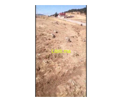 أرض للبيع طريق أم ربيع و ويوان