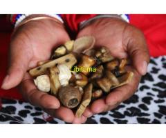 +27826623707 . SANGOMA  In Durban , Durban North , East Rand , Edenvale